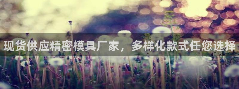 彩神争霸平台：现货供应精密模具厂家，多样化款式任您选择