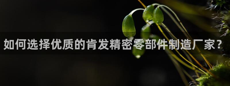彩神8最新版下载：如何选择优质的肯发精密零部件制造厂家？