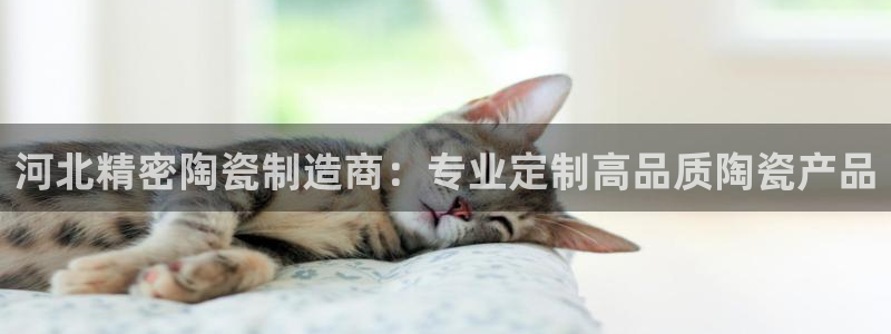 彩神vlll游戏特色：河北精密陶瓷制造商：专业定制高品质陶瓷产品