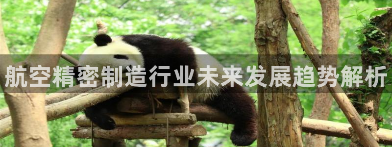 彩神怎么才能赢：航空精密制造行业未来发展趋势解析