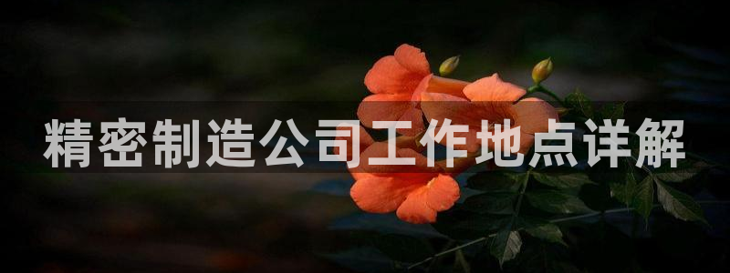 大发彩神官网下载：精密制造公司工作地点详解