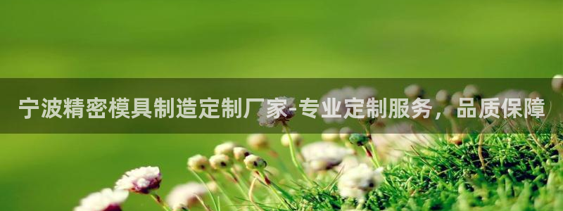 彩神赢了钱登录不上去：宁波精密模具制造定制厂家-专业定制服务，品质保障