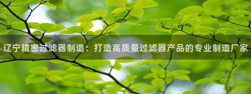 彩神平台是真的吗：辽宁精密过滤器制造：打造高质量过滤器产品的专业制造厂家