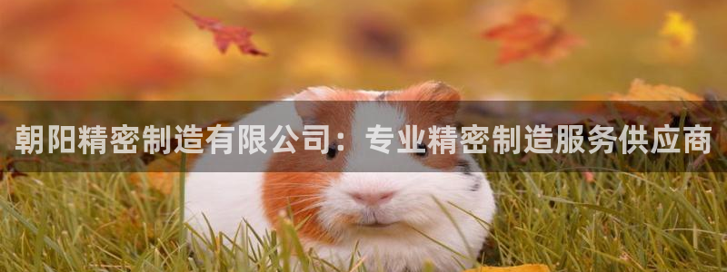 彩神vii官网