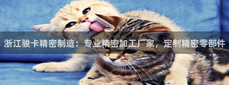 彩神v8手机客户端下载：浙江骏卡精密制造：专业精密加工厂家，定制精密零部件