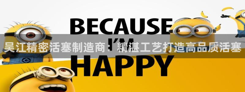彩神8app官方下载：吴江精密活塞制造商：精湛工艺打造高品质活塞