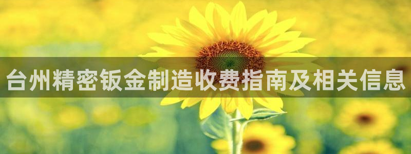 彩神vip购彩大厅下载：台州精密钣金制造收费指南及相关信息
