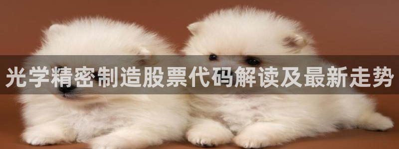 彩神8软件下载：光学精密制造股票代码解读及最新走势