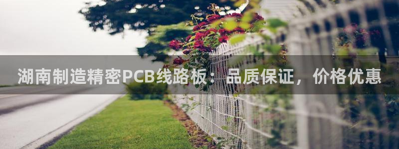 彩神vip官方网站：湖南制造精密PCB线路板：品质保证，价格优惠