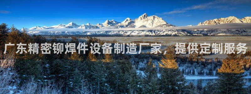 彩神v8是真的挣钱吗知乎：广东精密铆焊件设备制造厂家，提供定制服务