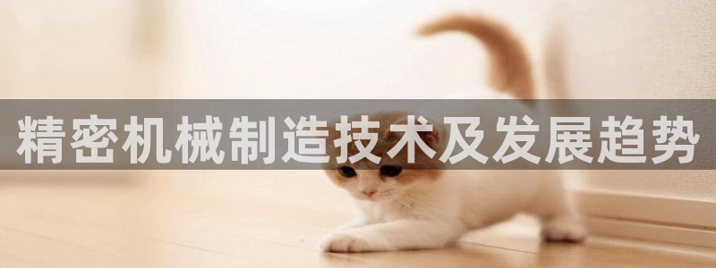 彩神viii下载安卓：精密机械制造技术及发展趋势