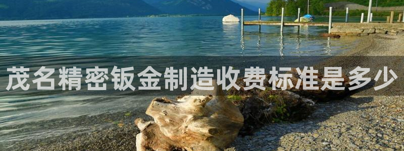 彩神8是正规平台吗是正品吗