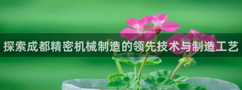 彩神vlll官方网