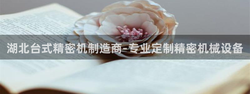 所有彩神购买首页都一样吗：湖北台式精密机制造商-专业定制精密机械设备