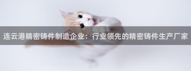 彩神v8首页：连云港精密铸件制造企业：行业领先的精密铸件生产厂家