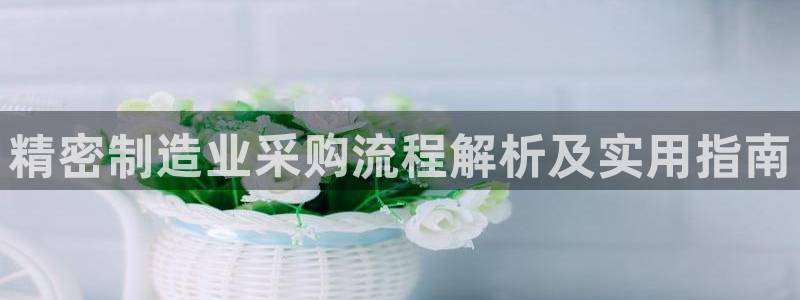 彩神旗下有哪些平台：精密制造业采购流程解析及实用指南