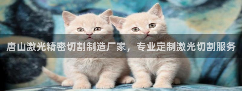 彩神购彩购彩大厅入口v：唐山激光精密切割制造厂家，专业定制激光切割服务