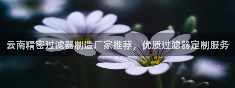 彩神平台：云南精密过滤器制造厂家推荐，优质过滤器定制服务