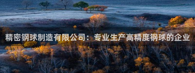 彩神v|：精密钢球制造有限公司：专业生产高精度钢球的企业