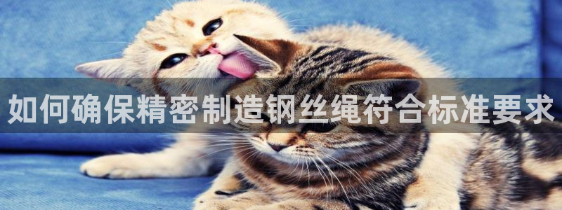 彩神viii官网：如何确保精密制造钢丝绳符合标准要求