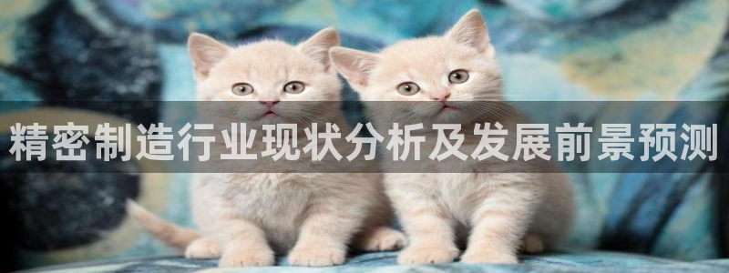 彩神8app官方下载：精密制造行业现状分析及发展前景预测