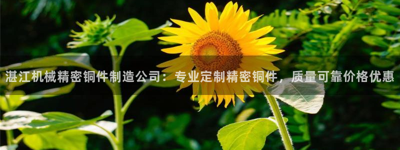 彩神vⅲ下载安装：湛江机械精密铜件制造公司：专业定制精密铜件，质量可靠价格优惠