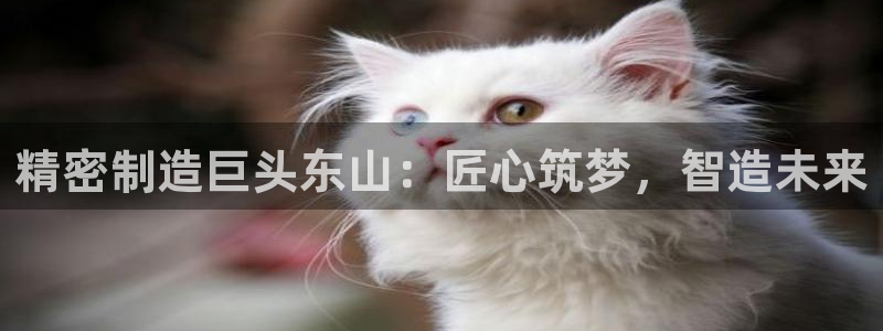 彩神盈利图片：精密制造巨头东山：匠心筑梦，智造未来