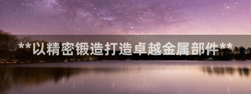 彩神8官网版是正规的吗：**以精密锻造打造卓越金属部件**