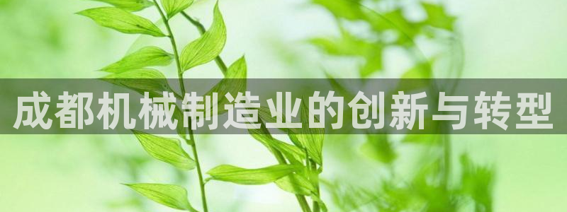 彩神iv是正规平台吗?：成都机械制造业的创新与转型