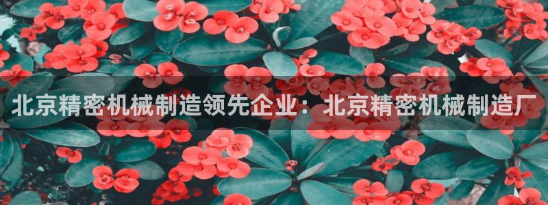 彩神VII购彩中心