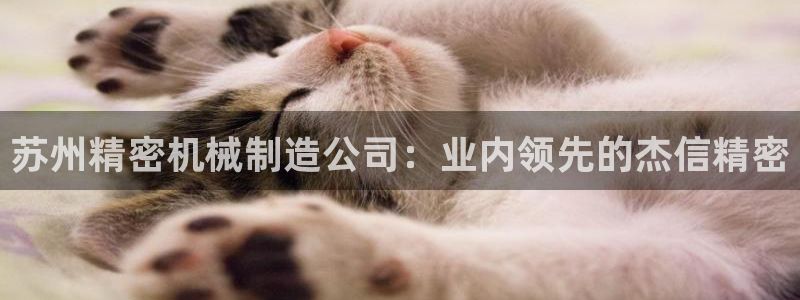 彩神vll首页