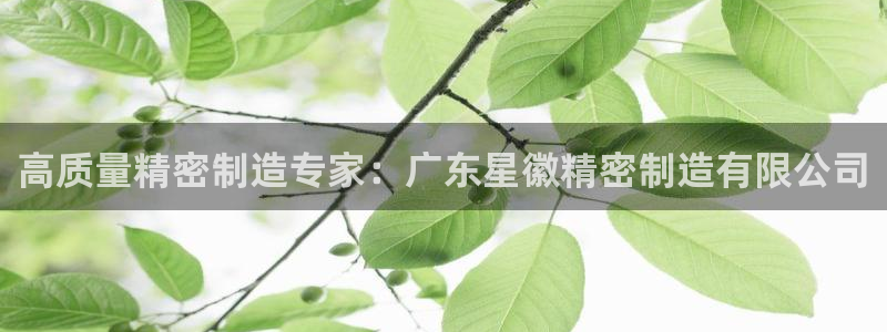 彩神v8平台正规吗知乎