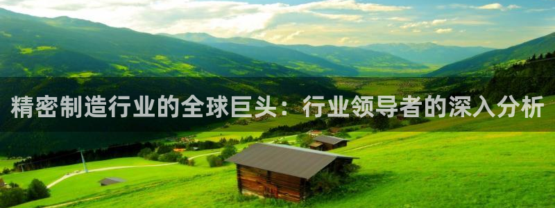 彩神v8iii：精密制造行业的全球巨头：行业领导者的深入分析