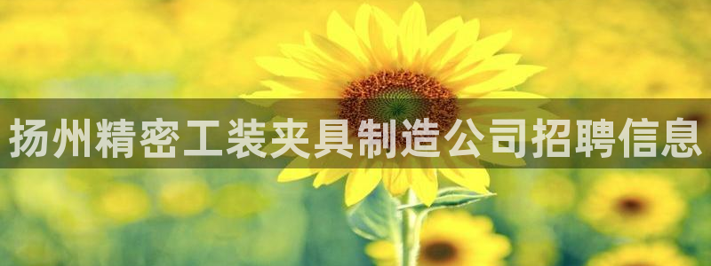 彩神通官网下载：扬州精密工装夹具制造公司招聘信息