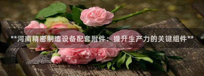 彩神平台之间是什么关系：**河南精密制造设备配套附件：提升生产力的关键组件**