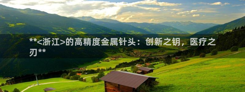 **<浙江>的高精度金属针头：创新之钥，医疗之
刃**
