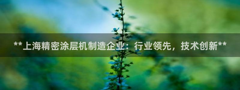 彩神v8手机客户端在哪：**上海精密涂层机制造企业：行业领先，技术创新**