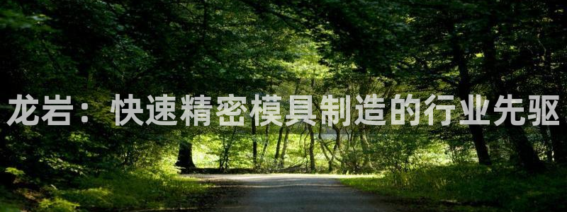 彩神通关注码金码对应码：龙岩：快速精密模具制造的行业先驱