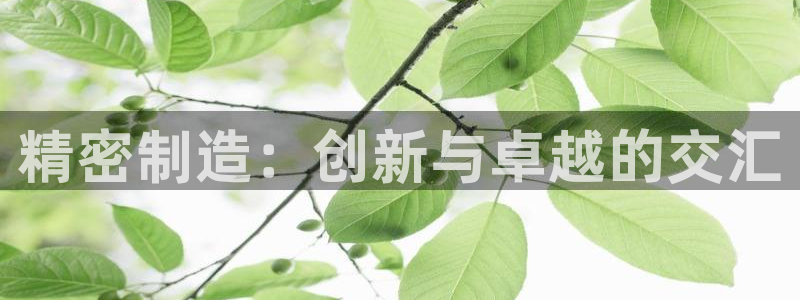 彩神viii官网：精密制造：创新与卓越的交汇