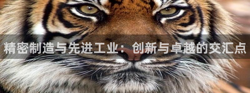 彩神v|：精密制造与先进工业：创新与卓越的交汇点