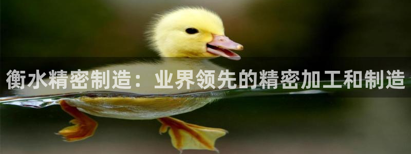 彩神vip购彩大厅在哪：衡水精密制造：业界领先的精密加工和制造