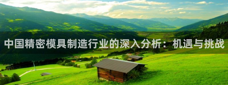 彩神官方登录：中国精密模具制造行业的深入分析：机遇与挑战