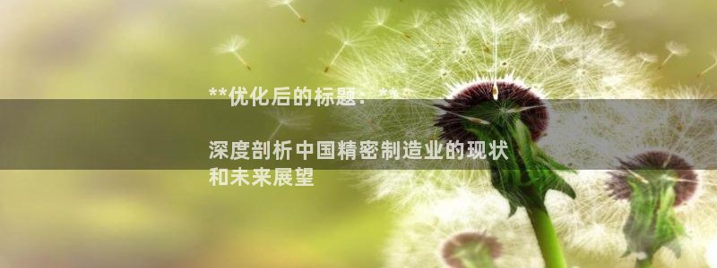 大发彩神最高邀请码：**优化后的标题：**

深度剖析中国精密制造业的现状
和未来展望