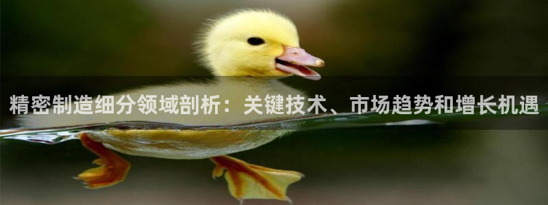 彩神vip官方网站：精密制造细分领域剖析：关键技术、市场趋势和增长机遇