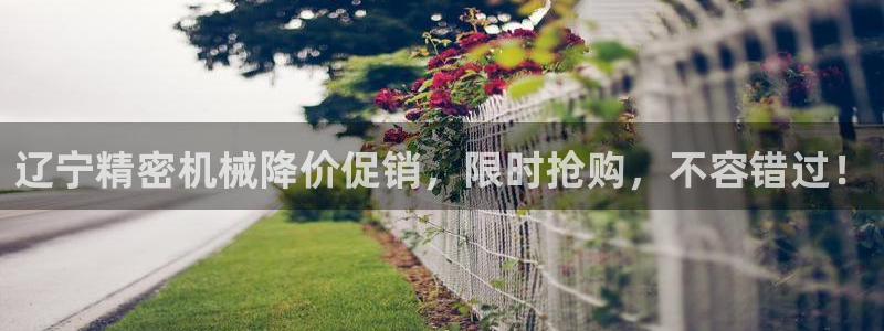 所有彩神购买首页中心：辽宁精密机械降价促销，限时抢购，不容错过！
