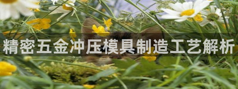 彩神velcome购彩大厅：精密五金冲压模具制造工艺解析