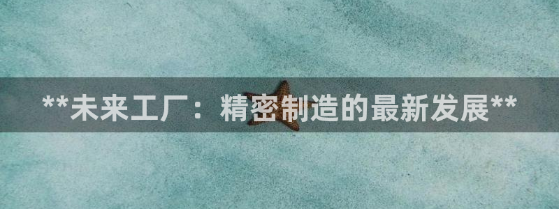 彩神购彩-购彩大厅入口500：**未来工厂：精密制造的最新发展**