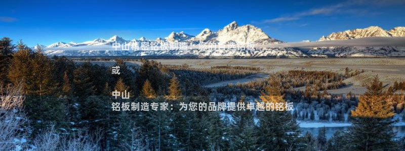 彩神购彩-购彩大厅入口下载：中山精密铭板制造：您的首选铭板

或

中山
铭板制造专家：为您的品牌提供卓越的铭