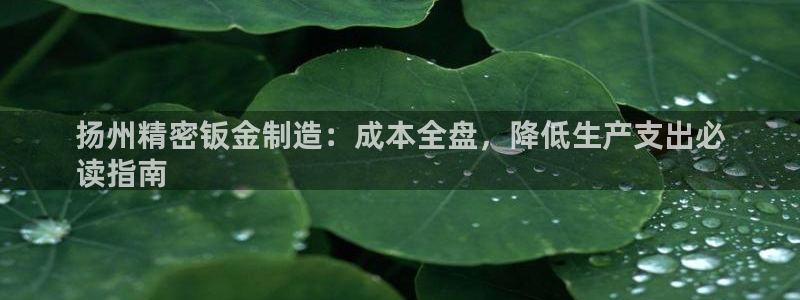 彩神vii购彩l心：扬州精密钣金制造：成本全盘，降低生产支出必
读指南