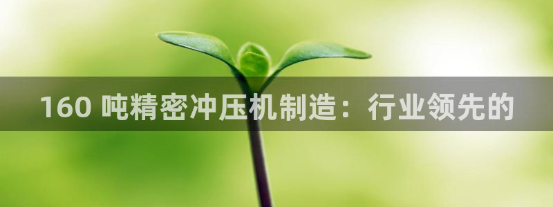 彩神旗下有哪些平台：160 吨精密冲压机制造：行业领先的